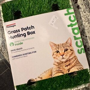 Grass Patch Hunting Box for Cats, water fountain, dry gravity feeder & toys lot